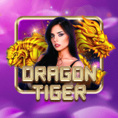 Dragon Tiger live casino on Sunwin APK